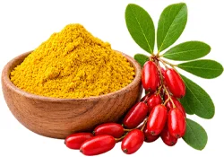 Diafreen — Barberine extract (Berberis/barberry), composition ingredient