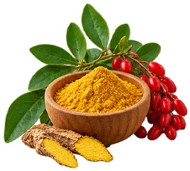 Diafreen — Barberine extract (Berberis/barberry), composition ingredient