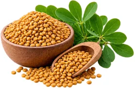 Diafreen — fenugreek extract, composition ingredient