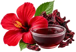 Diafreen — hibiscus extract, one of the six composition ingredients