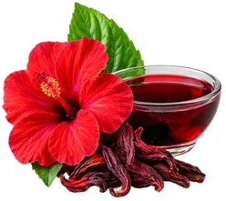 Diafreen — hibiscus extract, one of the six composition ingredients
