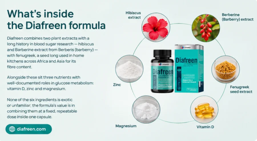 Diafreen — the six-ingredient capsule formula